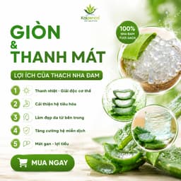 Thạch Nha Đam Aloka Giòn Thanh Mát Chế Biến Sẵn Túi 1Kg - Nha Đam Ăn Liền Topping Trà Sữa , dokhogiasi 2