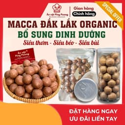 Hạt Macca Đắk Lắk Nứt Vỏ Size Đại - Ăn Liền, Béo Bùi, Không Chất Bảo Quản, Hạt Macca Biếu Tết 1