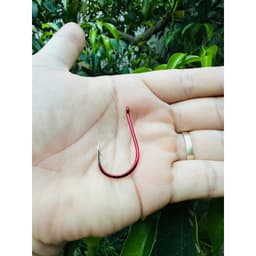 Lưỡi Câu Đỏ, Lưỡi Câu Cá Không Hộp Chuyên Câu Cá Lớn 7