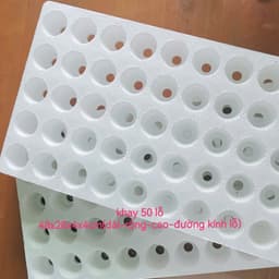 Khay Xốp Ươm Hạt – Bí Kíp Trồng Rau Ai Cũng Cần 3