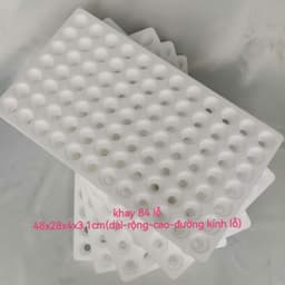 Khay Xốp Ươm Hạt – Bí Kíp Trồng Rau Ai Cũng Cần 6