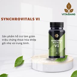 [Hỗ trợ khớp] Syn 6 - Thực phẩm bảo vệ sức khỏe Synchrovitals VI – 60 viên 2
