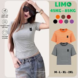 Áo Thun Nữ Sọc Ngắn Tay Cotton Co Giãn Big Size 45-85kg Ôm Body Tôn Dáng LIMO MS285 1