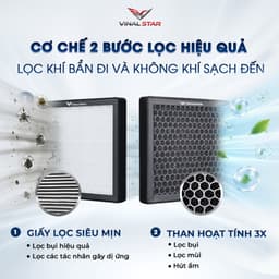 Lọc Gió Điều Hòa Ô Tô VINAL Chính Hãng, Lọc Gió Mùa Đông Phù Hợp Mọi Dòng Xe, Khử Mùi, Chặn Bụi Mịn PM2.5 7