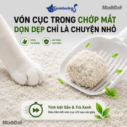 [Mua 3 Có Giá Sỉ] Cát Sắn Vệ Sinh Mèo Gemlucky 2kg Sợi Hữu Cơ Vón Cục Thấm Hút Kiểm Soát Mùi 5