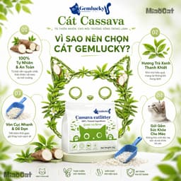 [Mua 3 Có Giá Sỉ] Cát Sắn Vệ Sinh Mèo Gemlucky 2kg Sợi Hữu Cơ Vón Cục Thấm Hút Kiểm Soát Mùi 2