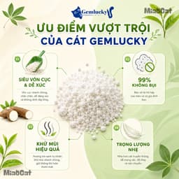[Mua 3 Có Giá Sỉ] Cát Sắn Vệ Sinh Mèo Gemlucky 2kg Sợi Hữu Cơ Vón Cục Thấm Hút Kiểm Soát Mùi 6