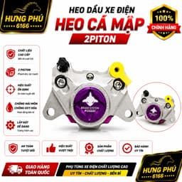 Heo dầu xe điện độ-heo cá mập 2piston đối sứng 1