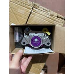 Heo dầu xe điện độ-heo cá mập 2piston đối sứng 2