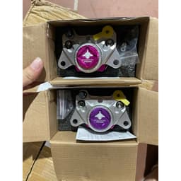 Heo dầu xe điện độ-heo cá mập 2piston đối sứng 5