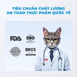 Combo 6 lon Mix vị Pate Lon MR.VET 400G cho mèo mọi lứa tuổi dễ tiêu hoá, mượt lông - Mèo Chò Uni 9