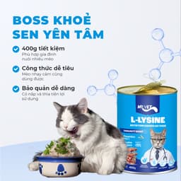 Combo 6 lon Mix vị Pate Lon MR.VET 400G cho mèo mọi lứa tuổi dễ tiêu hoá, mượt lông - Mèo Chò Uni 7