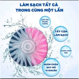Combo 10 Viên Thả Bồn Cầu Hương Hoa Hồng Viên Làm Sạch Bồn Cầu Khử Mùi Kháng Khuẩn Tẩy Cặn Bẩn Bồn Cầu Thơm Lâu
 4