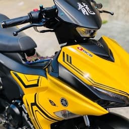 Dàn áo Ex 155 vàng đen có tem (9 món) 1