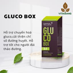 [ Gluco box hỗ trợ tiểu đường ] Hộp GLUCO hỗ trợ đường - Bộ hộp hàng ngày – 30 gói/hộp – 4 viên/túi 1