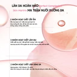 MENOW x MENGLAN PANDA Phấn phủ nén gấu trúc khổng lồ kiềm dầu giữ tone vượt trội 21g(Bao gồm và bông phấn) 8