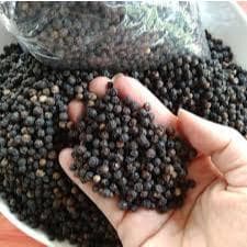 Hạt Tiêu Đen 500g/250g - Quà Tây Nguyên 2