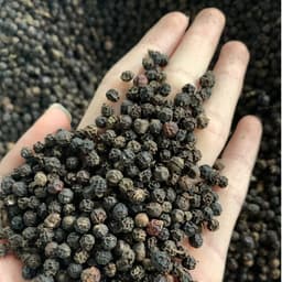 Hạt Tiêu Đen 500g/250g - Quà Tây Nguyên 3