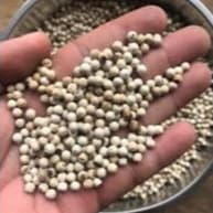 Hạt Tiêu Trắng Sọ 500g/250g - Quà Tây Nguyên 3