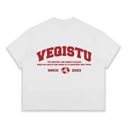 Áo Thun BOXY Local Brand VEQISTU "EARTH", Áo Thun Boxy Form Rộng Unisexm Nam Nữ Cổ Tròn 250Gsm  Cotton 5