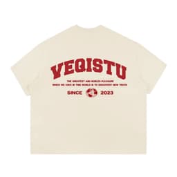 Áo Thun BOXY Local Brand VEQISTU "EARTH", Áo Thun Boxy Form Rộng Unisexm Nam Nữ Cổ Tròn 250Gsm  Cotton 8