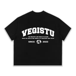 Áo Thun BOXY Local Brand VEQISTU "EARTH", Áo Thun Boxy Form Rộng Unisexm Nam Nữ Cổ Tròn 250Gsm  Cotton 2