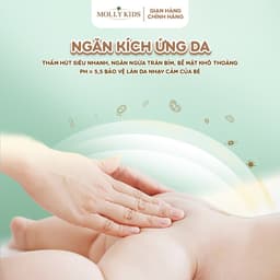 COMBO 2 BỊCH Tã/Bỉm Dán và Quần MOLLY Kids Bỉm Siêu Mỏng Nhẹ Thấm Hút Tốt, Đủ Size Cho Bé Từ NB-3XL. 3