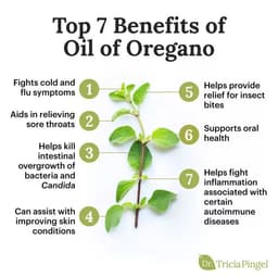 Hũ 150 Viên Carlyle Oil of Oregano 4000mg, Tăng Cường Miễn Dịch, Hỗ Trợ Tiêu Hóa 2