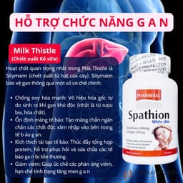 [Hàng cty full va.t] Viên uống GLUTATHIONE TINH KHIẾT hỗ trợ sáng da, mờ thâm nám, giải độc gan SPATHION Chính hãng USA 5