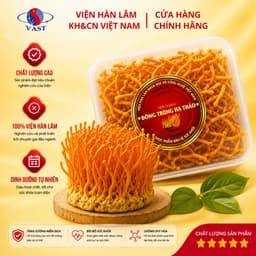 [CHÍNH HÃNG ] Đông Trùng Hạ Thảo Tươi Viện Hàn Lâm Hũ 150Gr - SHIP HỎA TỐC - nấu ăn, ngâm trà 1