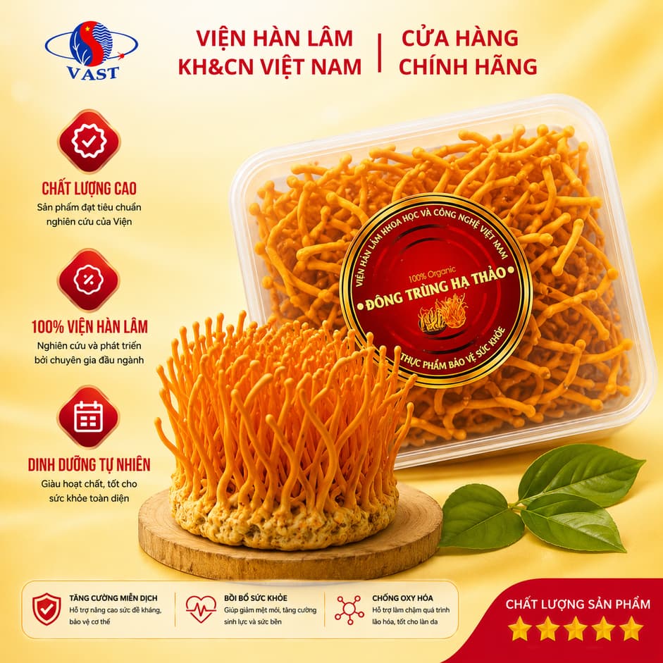 [CHÍNH HÃNG ] Đông Trùng Hạ Thảo Tươi Viện Hàn Lâm Hũ 150Gr - SHIP HỎA TỐC - nấu ăn, ngâm trà