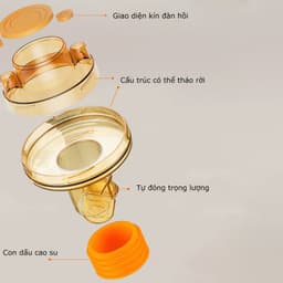 Combo 2 Đầu Nối Thoát Sàn Chống Mùi Hôi Cống Ngăn Côn Trùng Nắp Đậy Ống Thoát Nước Máy Giặt Bồn Rửa Chậu Rửa 3