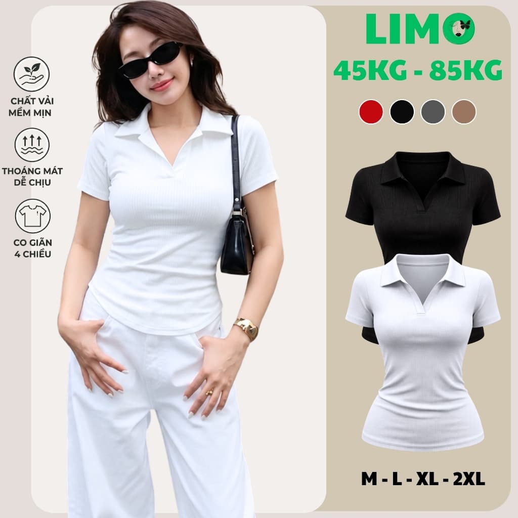Áo Thun Nữ Bigsize Cổ Trụ Polo Ôm Dáng Áo Thun Cổ Bẻ Dễ Thương Thun Tăm Lạnh LIMO MS314