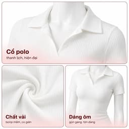 Áo Thun Nữ Bigsize Cổ Trụ Polo Ôm Dáng Áo Thun Cổ Bẻ Dễ Thương Thun Tăm Lạnh LIMO MS314 2