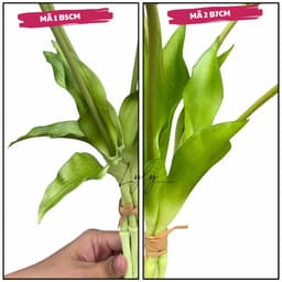 Bó hoa tulip cao su 5 bông 40cm giống thật (hàng nhập cao cấp) trang trí nhà cửa, bó hoa cưới. 7
