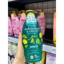 Dầu Gội Dưỡng Tóc Gừng Và Bạc Hà Organist – Chai 500ml 1