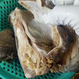 Món chưng đầu mắm cá sửu ngon hấp dẫn, vị đậm đà khó quên. 7