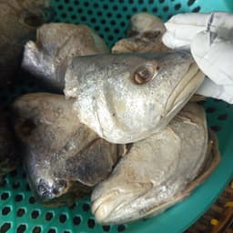 Món chưng đầu mắm cá sửu ngon hấp dẫn, vị đậm đà khó quên. 9