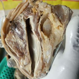 Món chưng đầu mắm cá sửu ngon hấp dẫn, vị đậm đà khó quên. 2