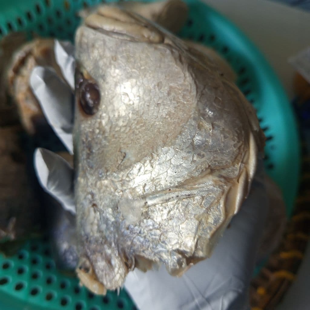 Món chưng đầu mắm cá sửu ngon hấp dẫn, vị đậm đà khó quên.