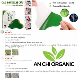[ƯU ĐÃI TỐT] Hộp 50 Miếng Dán Chân Ngải Cứu Đỏ Tặng Hộp 12 Miếng Ngải Cứu Cổ, Vai, Gáy Xanh An Chi Organic 4