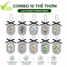 Dây Thơm Treo Xe Ô Tô Khử Mùi, Chống Say Xe GD220 - Sáp Nén Thơm Treo Tủ Quần Áo Khử Mùi Ẩm Mốc 9