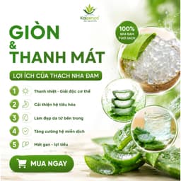 Combo 3 Túi Thạch Nha Đam Aloka Túi 1 Kg Giòn Thơm Ngon Dùng Liền Hoặc Pha Chế - KAIZENCO , dokhogiasi 2