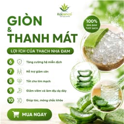 Combo 3 Túi Thạch Nha Đam Aloka Túi 1 Kg Giòn Thơm Ngon Dùng Liền Hoặc Pha Chế - KAIZENCO , dokhogiasi 3