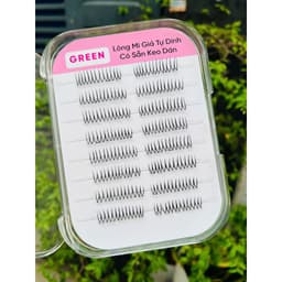 Mi San Hô K19 Sẵn Keo Tự Dính GREEN Thủy Mi 7