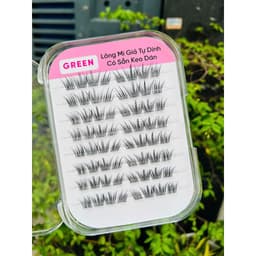 Mi San Hô K19 Sẵn Keo Tự Dính GREEN Thủy Mi 6