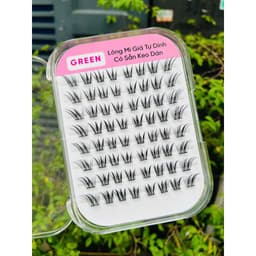 Mi San Hô K19 Sẵn Keo Tự Dính GREEN Thủy Mi 3