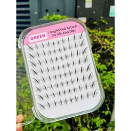 Mi San Hô K19 Sẵn Keo Tự Dính GREEN Thủy Mi 5