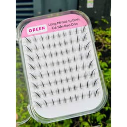 Mi San Hô K19 Sẵn Keo Tự Dính GREEN Thủy Mi 2