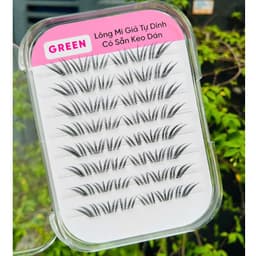 Mi San Hô K19 Sẵn Keo Tự Dính GREEN Thủy Mi 1
